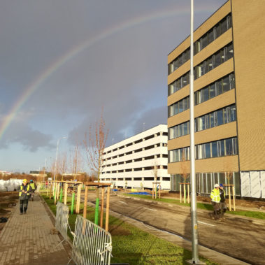 kolorowa poznań graphen